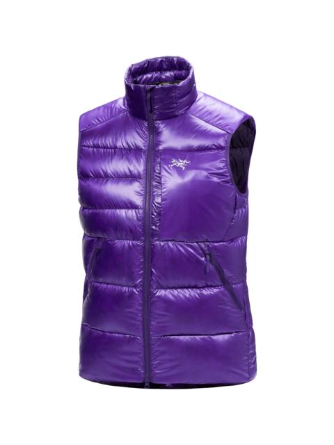 Arc'teryx Cerium SV Vest