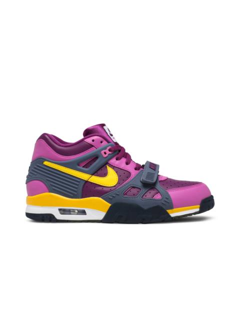 Nike Air Trainer 3 Retro 'Viotech' 2020