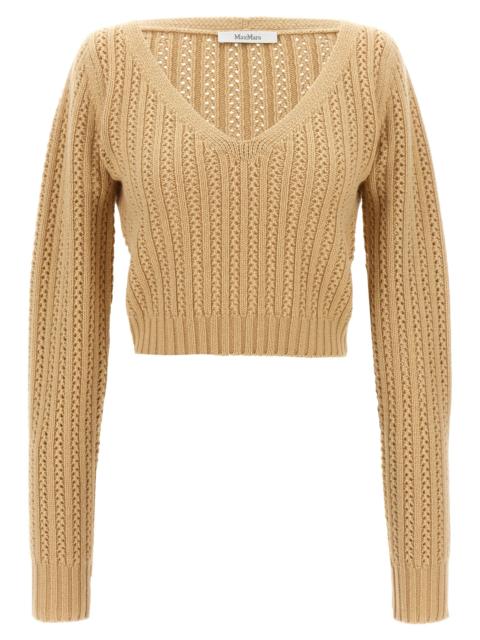 Max Mara Max Mara Women 'Ifrem' Sweater
