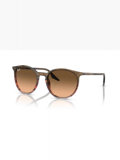 Ray-Ban RB2204