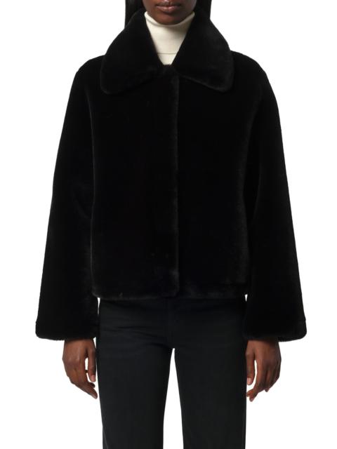 APPARIS Apparis Elis Pluche™ Faux Fur Coat in Noir at Nordstrom