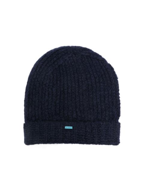 logo-plaque beanie
