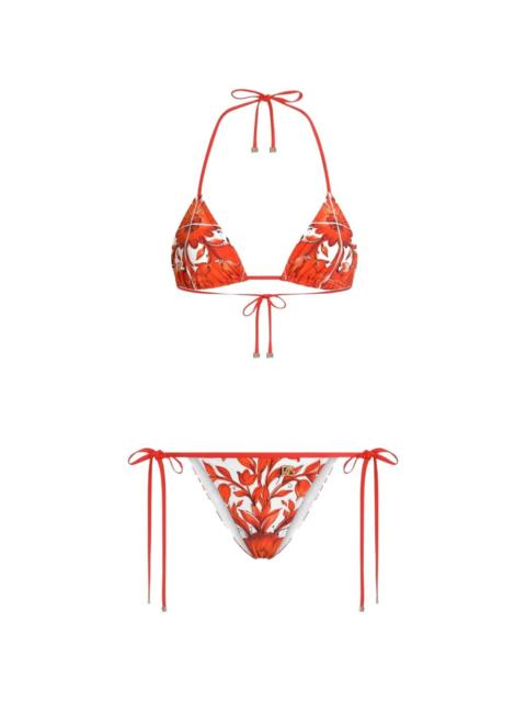 Dolce & Gabbana Dolce & Gabbana Women Maiolica Print Bikini Set