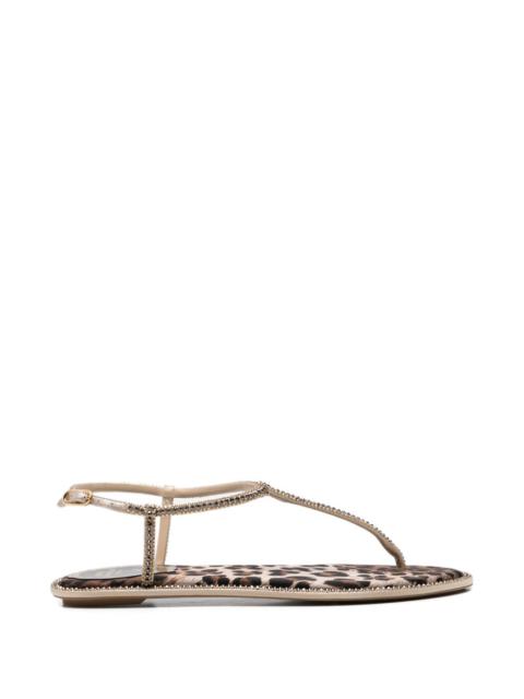 RENE CAOVILLA René Caovilla Women Diana Leather Flat Sandals