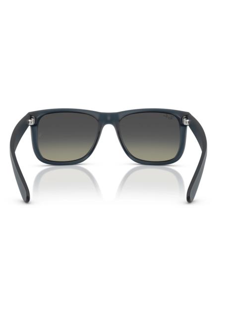 Ray-Ban Ray-Ban Justin Sunglasses