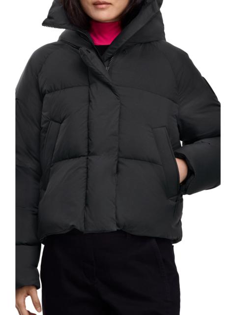 Canada Goose Canada Goose Chilliwack 750 Fill Power Down Puffer Jacket in Black at Nordstrom