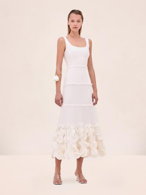 ALEXIS Demina Dress