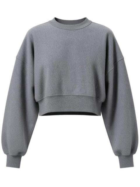 AGOLDE Kit Sweatshirt in Heather Grey