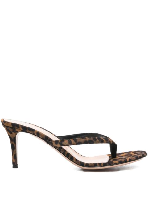 Gianvito Rossi Calypso leopard-print sandals
