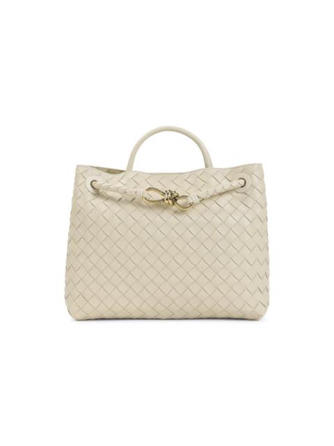 Bottega Veneta Bottega Veneta Andiamo Medium Bag Women