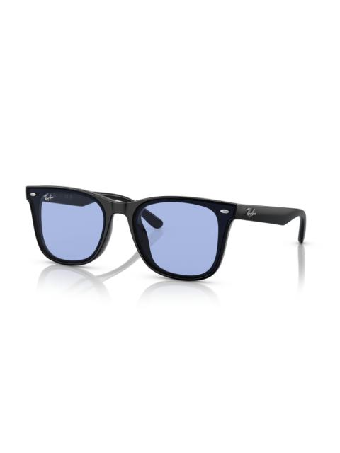 Ray-Ban RB4391D