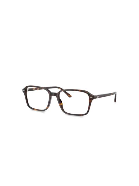 Ray-Ban Raimond glasses