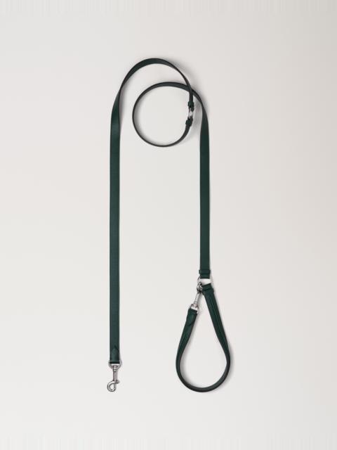 Mulberry Crossbody Dog Leash
Mulberry Green Small Classic Grain