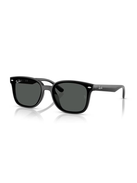Ray-Ban RB4461D