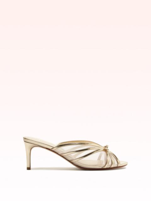 ALEXANDRE BIRMAN SLIM CLARITA NET 60 GOLDEN