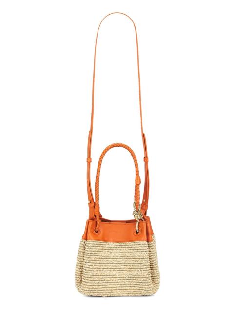 Bottega Veneta Small Parachute Raffia Bag
