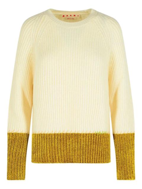Marni Roundneck Sweater