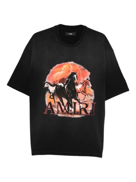 AMIRI Amiri Plains Graphic T-shirt