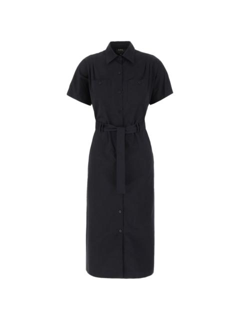 cotton shirt dress