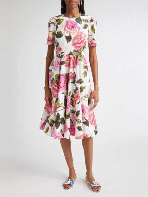 Dolce & Gabbana Dolce&Gabbana Rose Print Cotton Fit & Flare Dress in Rose Rosa Floral.bianco at Nordstrom