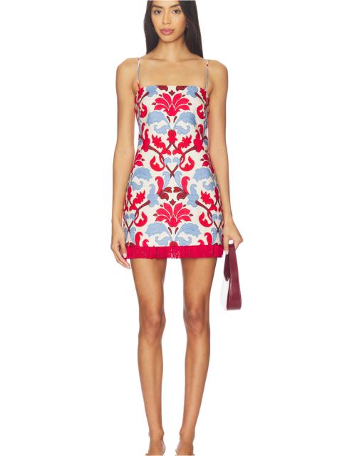 Cara Cara Valencia Mini Dress