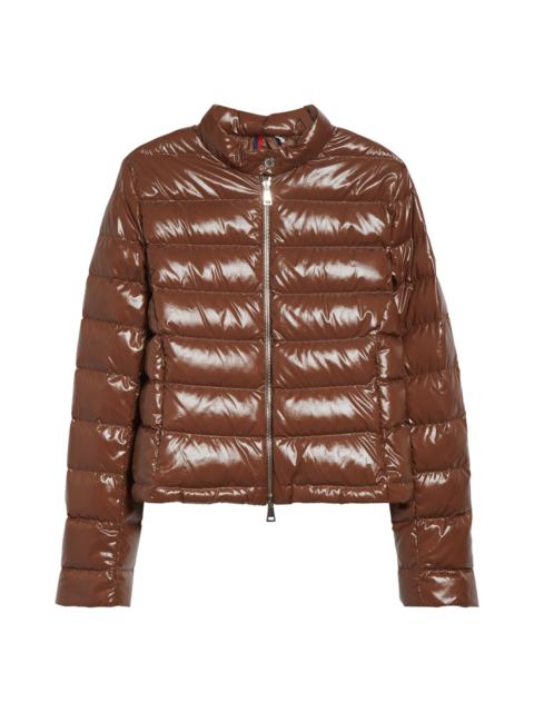 Moncler Moncler Papillon Crop Lacquered Nylon Puffer Jacket in Brown at Nordstrom