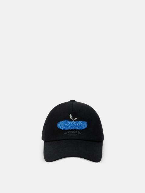 ADER error BO01FWHW0207BK HATS