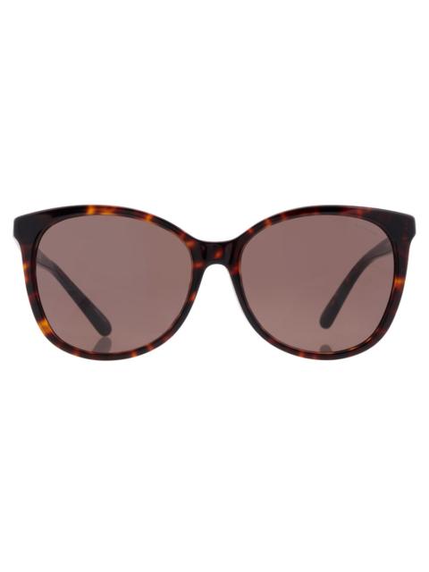 COACH Coach Dark Brown Square Ladies Sunglasses HC8271U 512073 57