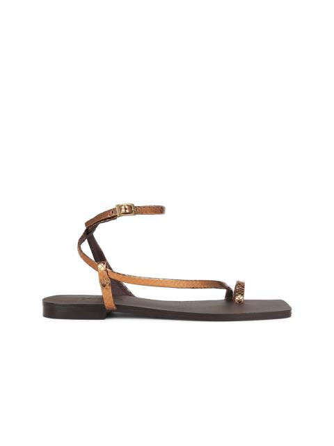 Johanna Ortiz Flamenco Echoes Sandal