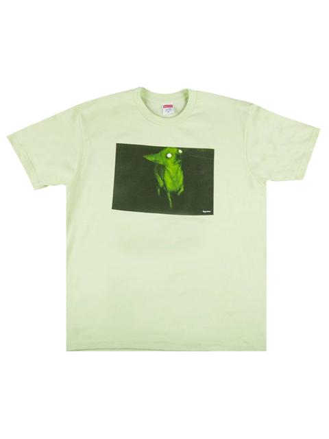 Supreme Supreme Chris Cunningham Chihuahua Tee 'Pale Mint'