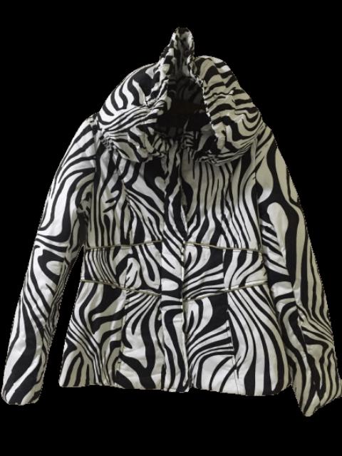 Other Designers Zara Nice Design Hoodie Jacket