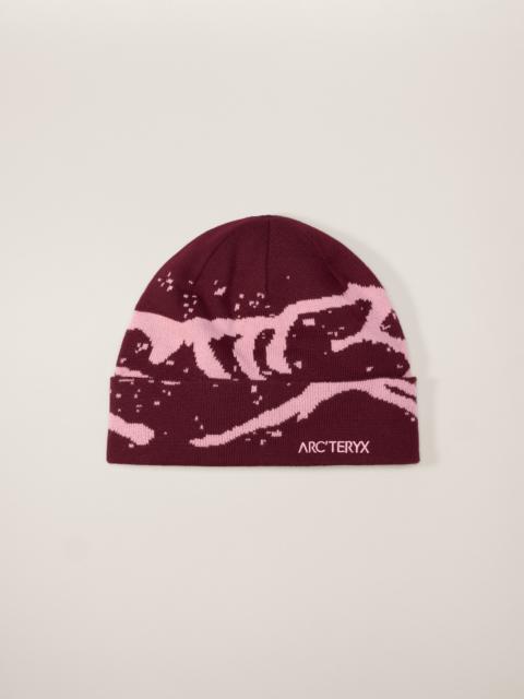 Arc'teryx Grotto Toque