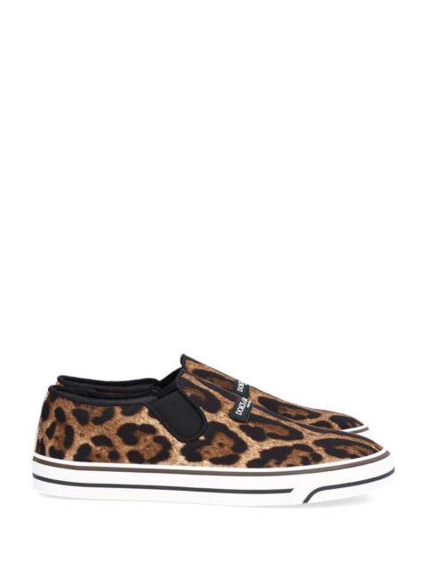 Dolce & Gabbana Dolce & Gabbana Men Dg Sailing Sneaker
