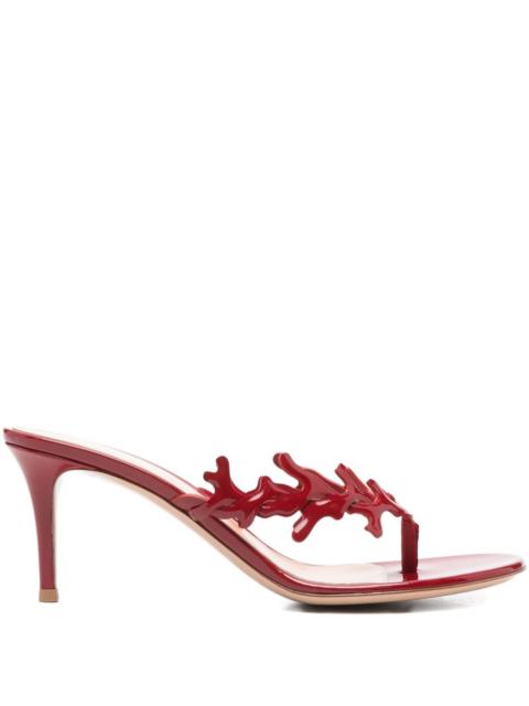 Gianvito Rossi Gianvito Rossi Women Infradito