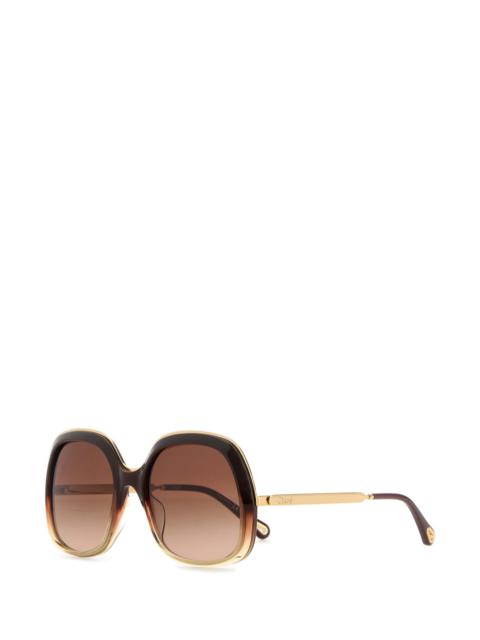 Chloé Brown acetate sunglasses