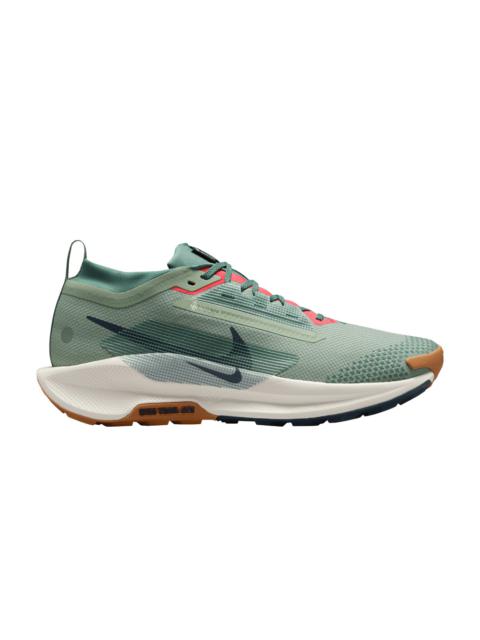 Nike Pegasus Trail 5 GORE-TEX 'Jade Horizon'