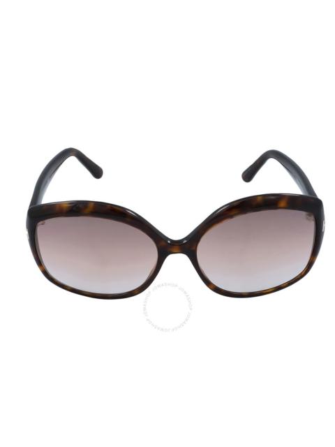 TOM FORD Tom Ford Gradient Brown Butterfly Ladies Sunglasses FT0919 52F 60