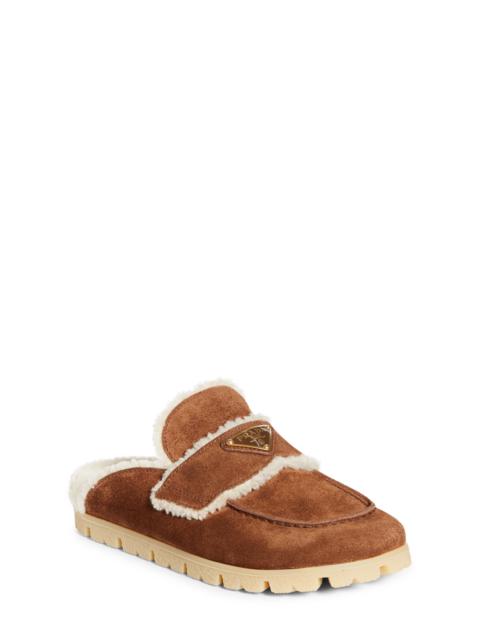 Prada Prada Genuine Shearling Mule in Cacao at Nordstrom