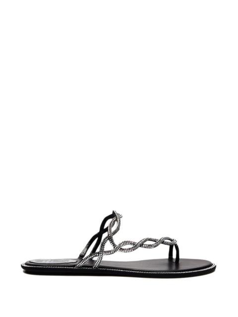 RENE CAOVILLA Rene Caovilla Women Sandalo Flat Braid Nero 10