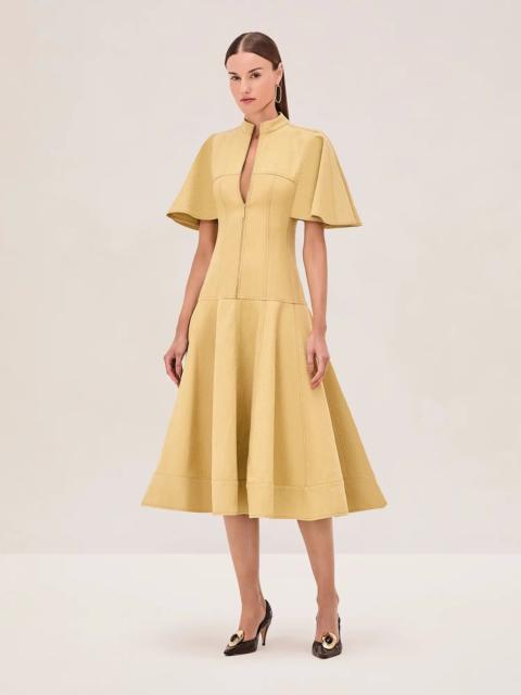 ALEXIS WESTON DRESS