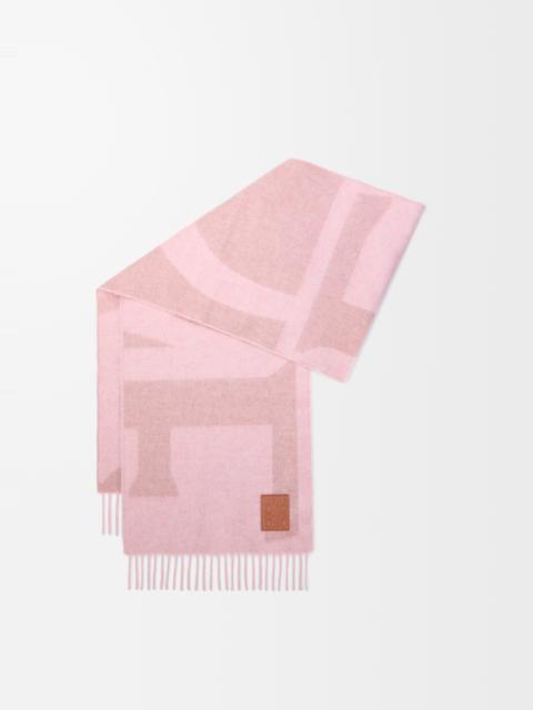 Loewe Scarf in cashmere