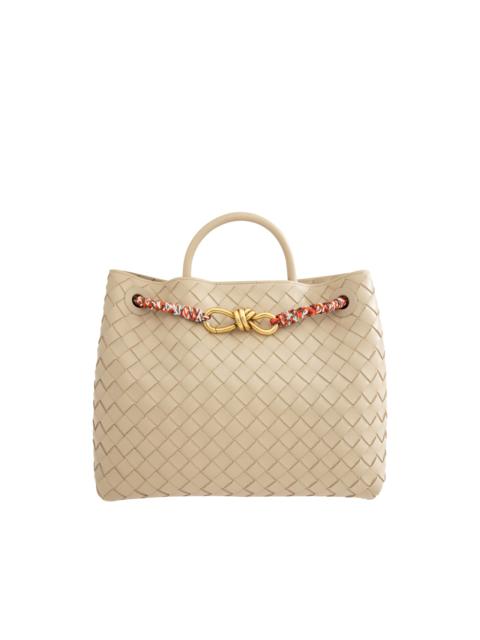 Bottega Veneta ANDIAMO MEDIUM BAG