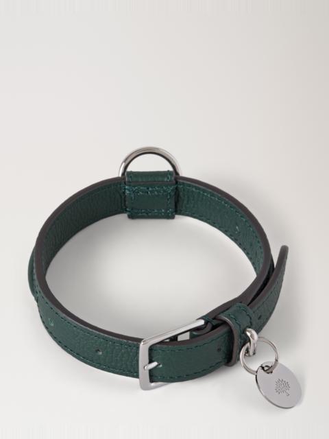 Mulberry Small Leather Dog Collar
Mulberry Green Small Classic Grain