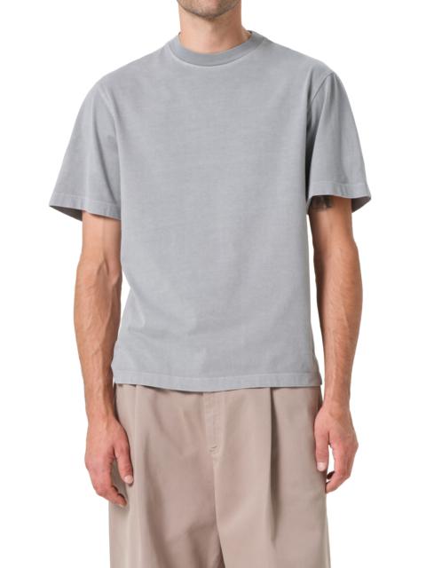 AGOLDE AGOLDE Asha Crewneck T-Shirt in Patagonia at Nordstrom