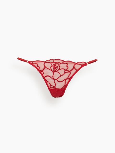 KIKI DE MONTPARNASSE Petite Chou Embroidery Thong in Red