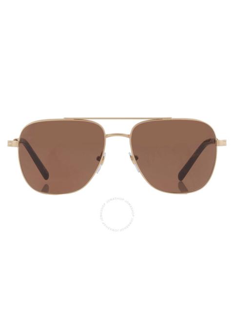BVLGARI Bvlgari Brown Navigator Men's Sunglasses BV5059 202253 58