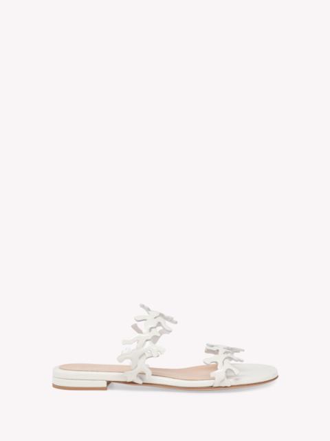 Gianvito Rossi OCEAN MULE