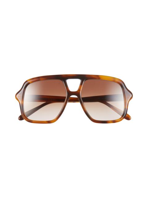 Loewe Loewe Slim Rectangular Sunglasses in Dark Havana /Gradient Brown at Nordstrom