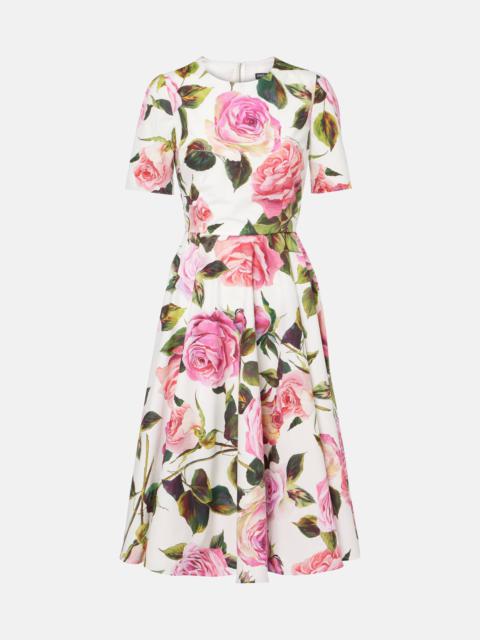 Dolce & Gabbana Floral cotton midi dress