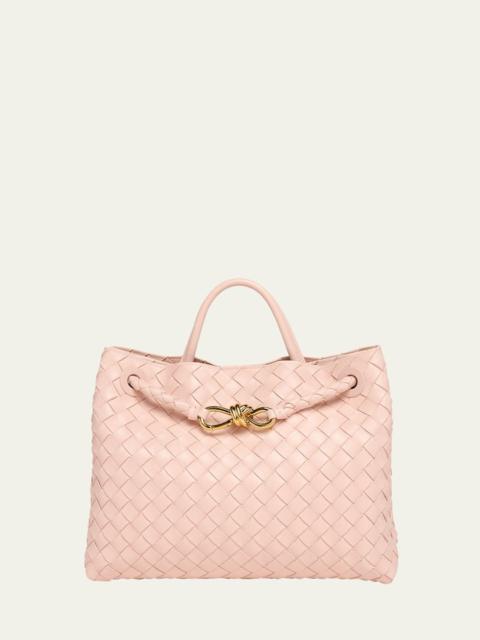 Bottega Veneta Medium Andiamo Bag
